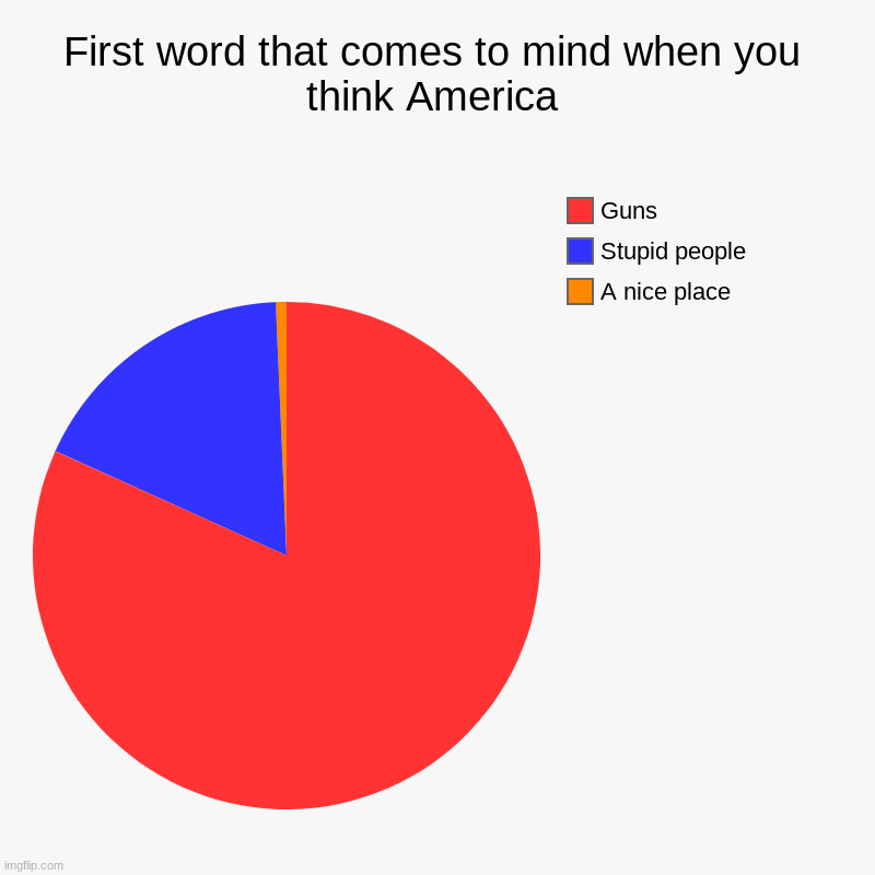 MURICA | First word that comes to mind when you think America | A nice place, Stupid people, Guns | image tagged in charts,pie charts | made w/ Imgflip chart maker