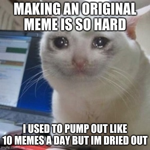 When I used this site a year ago... Some may remember me (Dragonborn261) | MAKING AN ORIGINAL MEME IS SO HARD; I USED TO PUMP OUT LIKE 10 MEMES A DAY BUT IM DRIED OUT | image tagged in crying cat,memes,sad,original meme | made w/ Imgflip meme maker