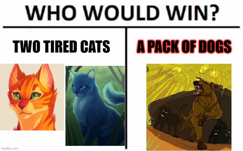 Who would win?  We all know. |  TWO TIRED CATS; A PACK OF DOGS | image tagged in memes,who would win | made w/ Imgflip meme maker