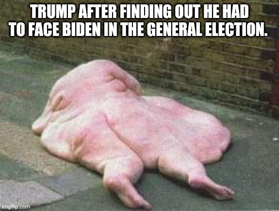 Deflated trump | TRUMP AFTER FINDING OUT HE HAD TO FACE BIDEN IN THE GENERAL ELECTION. | image tagged in donald trump,maga,conservatives,republican,joe biden,nevertrump | made w/ Imgflip meme maker