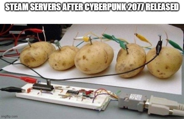 *breaking news* steam servers are down | STEAM SERVERS AFTER CYBERPUNK 2077 RELEASED | image tagged in memes,server,servers,funny memes | made w/ Imgflip meme maker