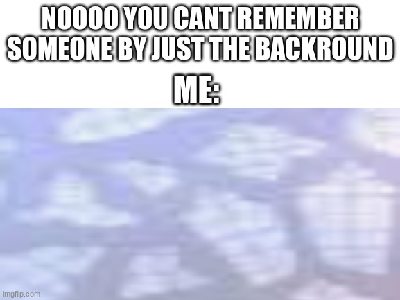 nOOO | NOOOO YOU CANT REMEMBER SOMEONE BY JUST THE BACKROUND; ME: | image tagged in memes | made w/ Imgflip meme maker