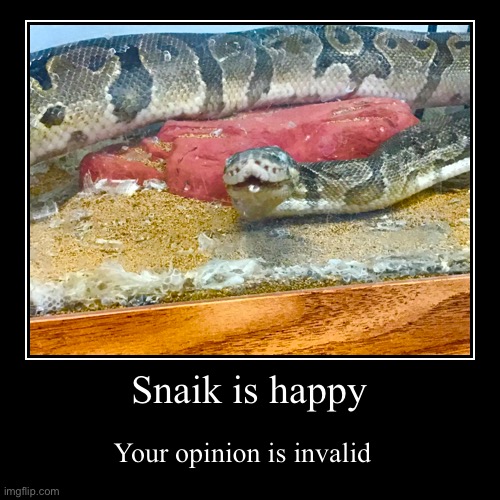 Snaik happy | image tagged in funny,demotivationals | made w/ Imgflip demotivational maker