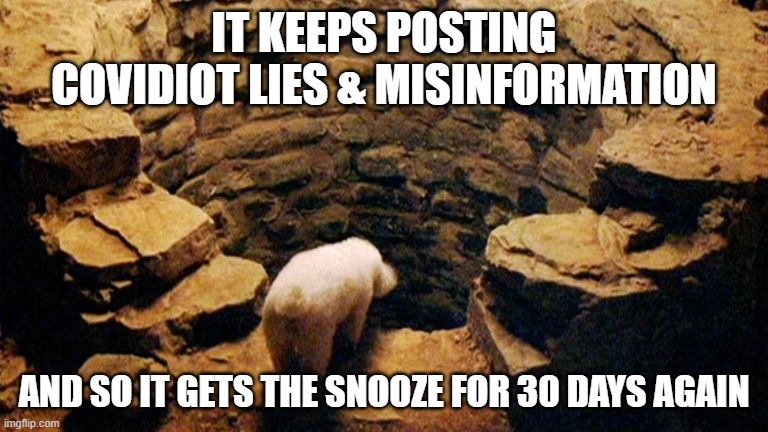 covidiots in the well | IT KEEPS POSTING COVIDIOT LIES & MISINFORMATION; AND SO IT GETS THE SNOOZE FOR 30 DAYS AGAIN | image tagged in covidiots | made w/ Imgflip meme maker