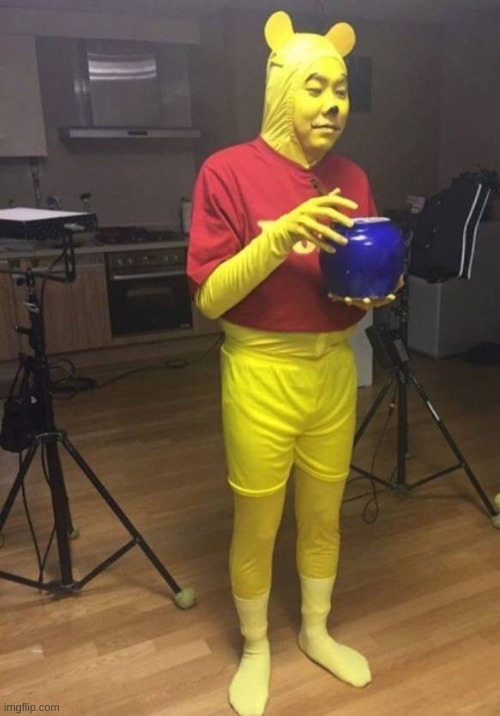 no context here | image tagged in memes,costume,cursed image,winnie the pooh | made w/ Imgflip meme maker