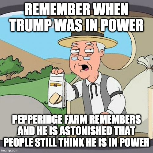 Pepperidge Farm Remembers Meme | REMEMBER WHEN TRUMP WAS IN POWER PEPPERIDGE FARM REMEMBERS AND HE IS ASTONISHED THAT PEOPLE STILL THINK HE IS IN POWER | image tagged in memes,pepperidge farm remembers | made w/ Imgflip meme maker