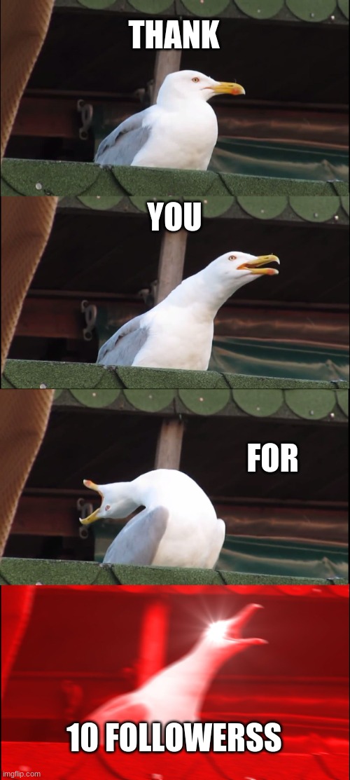 Inhaling Seagull Meme | THANK; YOU; FOR; 10 FOLLOWERSS | image tagged in memes,inhaling seagull | made w/ Imgflip meme maker