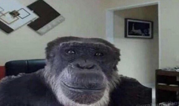 monke see Blank Meme Template