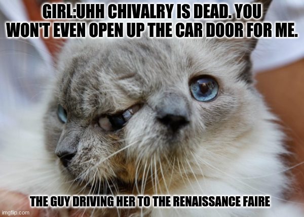 cute cat | GIRL:UHH CHIVALRY IS DEAD. YOU WON'T EVEN OPEN UP THE CAR DOOR FOR ME. THE GUY DRIVING HER TO THE RENAISSANCE FAIRE | image tagged in deep thoughts | made w/ Imgflip meme maker