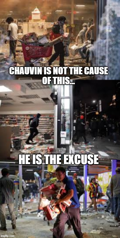 Minneapolis Chauvin Trial |  CHAUVIN IS NOT THE CAUSE
OF THIS... HE IS THE EXCUSE | image tagged in riots,protesters,politics | made w/ Imgflip meme maker
