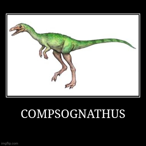 Compsognathus | COMPSOGNATHUS | | image tagged in demotivationals,compsognathus | made w/ Imgflip demotivational maker