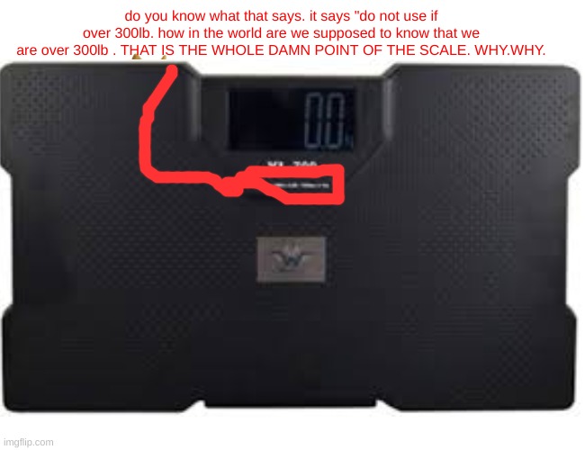 do you know what that says. it says "do not use if over 300lb. how in the world are we supposed to know that we are over 300lb . THAT IS THE WHOLE DAMN POINT OF THE SCALE. WHY.WHY. | made w/ Imgflip meme maker