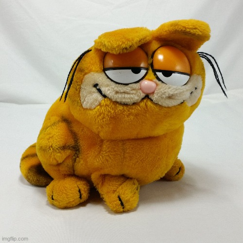 wheres all the W E E D john | image tagged in garfield | made w/ Imgflip meme maker