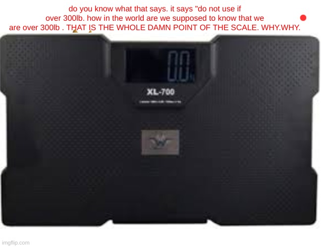 do you know what that says. it says "do not use if over 300lb. how in the world are we supposed to know that we are over 300lb . THAT IS THE WHOLE DAMN POINT OF THE SCALE. WHY.WHY. | image tagged in you had one job | made w/ Imgflip meme maker