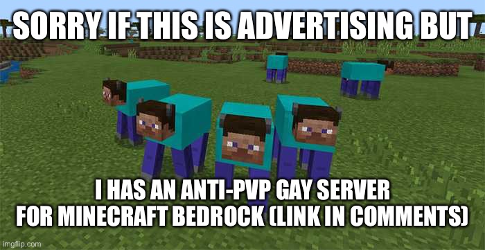 I understand if this gets unfeatured. (also don't ask wth are those steve cows) | SORRY IF THIS IS ADVERTISING BUT; I HAS AN ANTI-PVP GAY SERVER FOR MINECRAFT BEDROCK (LINK IN COMMENTS) | image tagged in gay,minecraft | made w/ Imgflip meme maker