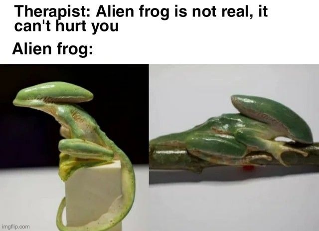 therapists... | image tagged in therapist,alien,frog,memes,lol,hurt | made w/ Imgflip meme maker