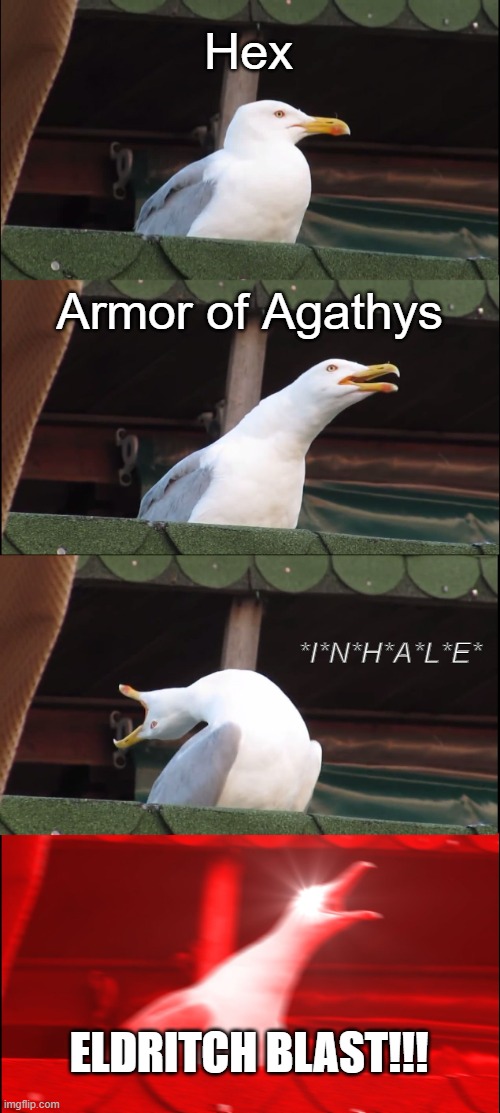 Inhaling Seagull | Hex; Armor of Agathys; *I*N*H*A*L*E*; ELDRITCH BLAST!!! | image tagged in memes,inhaling seagull | made w/ Imgflip meme maker