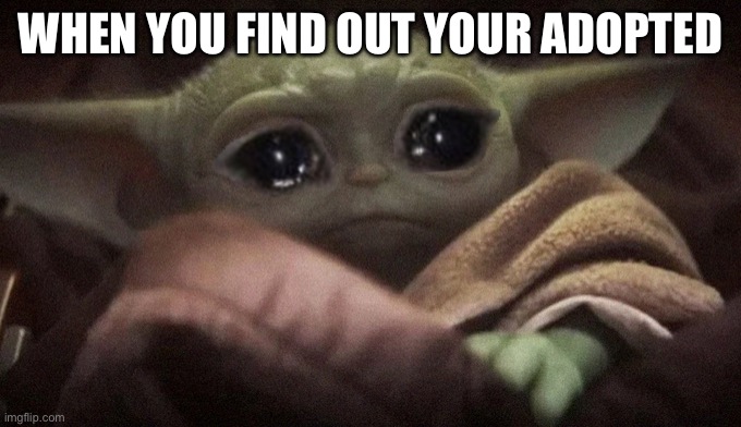 Your adopted | WHEN YOU FIND OUT YOUR ADOPTED | image tagged in baby yoda | made w/ Imgflip meme maker