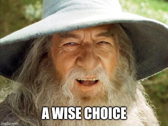 A Wizard Is Never Late | A WISE CHOICE | image tagged in a wizard is never late | made w/ Imgflip meme maker