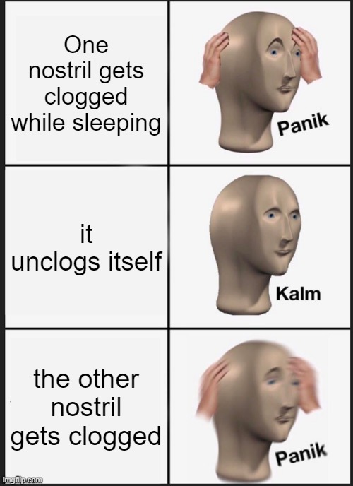 Sinus probleeeems | One nostril gets clogged while sleeping; it unclogs itself; the other nostril gets clogged | image tagged in memes,panik kalm panik | made w/ Imgflip meme maker