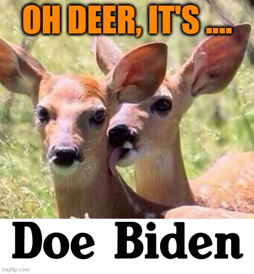 Doe Biden | image tagged in joe biden,deer,politics,conservatives | made w/ Imgflip meme maker