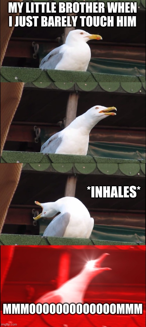 my little brother | MY LITTLE BROTHER WHEN I JUST BARELY TOUCH HIM; *INHALES*; MMMOOOOOOOOOOOOOMMM | image tagged in memes,inhaling seagull | made w/ Imgflip meme maker