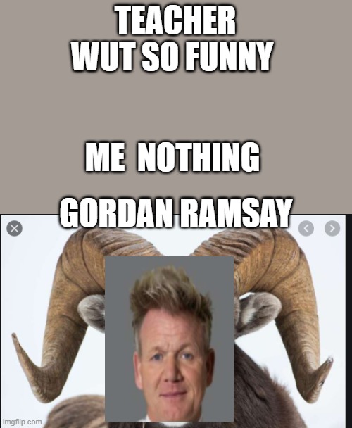 pigz | TEACHER WUT SO FUNNY; ME  NOTHING; GORDAN RAMSAY | image tagged in funny memes,lol,memes,chef gordon ramsay | made w/ Imgflip meme maker