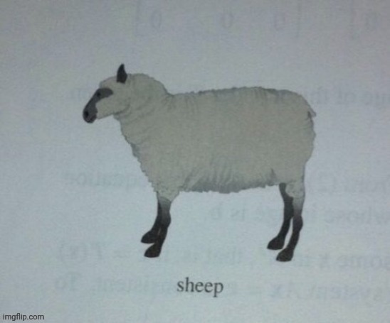 Sheep | made w/ Imgflip meme maker
