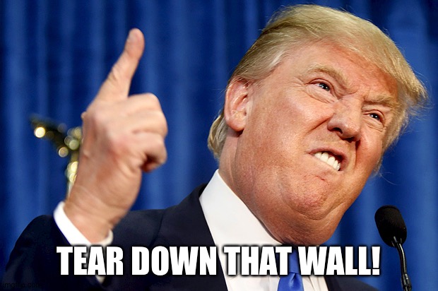 Donald Trump | TEAR DOWN THAT WALL! | image tagged in donald trump | made w/ Imgflip meme maker