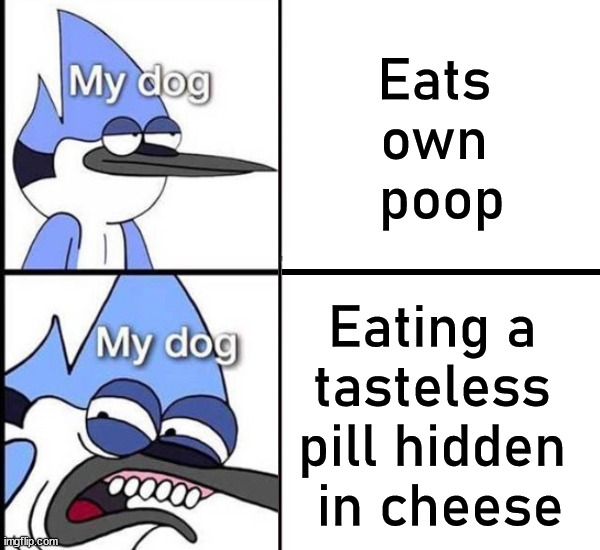 How do they know? |  Eats 
own 
poop; Eating a 
tasteless 
pill hidden 
in cheese | image tagged in drake meme,dog,hard to swallow pills | made w/ Imgflip meme maker
