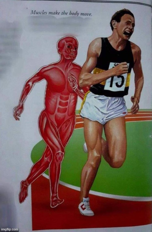 yes, muscles will make u get tf outta there. | made w/ Imgflip meme maker