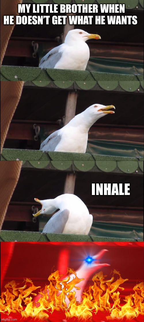Inhaling Seagull Meme | MY LITTLE BROTHER WHEN HE DOESN’T GET WHAT HE WANTS; INHALE | image tagged in memes,inhaling seagull | made w/ Imgflip meme maker