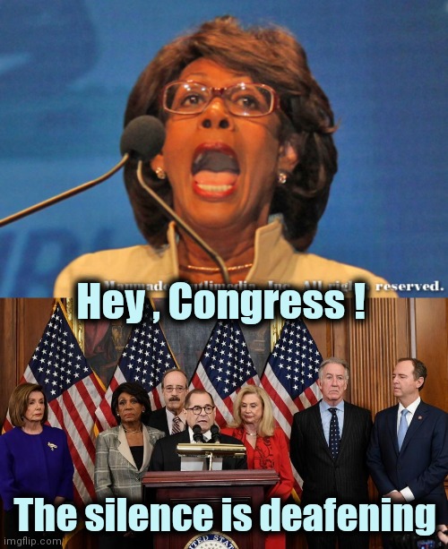 Nothing from people who usually won't shut up | Hey , Congress ! The silence is deafening | image tagged in maxine waters,house democrats,politicians suck,incite violence,wow look nothing | made w/ Imgflip meme maker