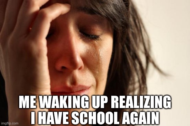 My school is back to everyday. KILL ME! | ME WAKING UP REALIZING I HAVE SCHOOL AGAIN | image tagged in memes,first world problems | made w/ Imgflip meme maker