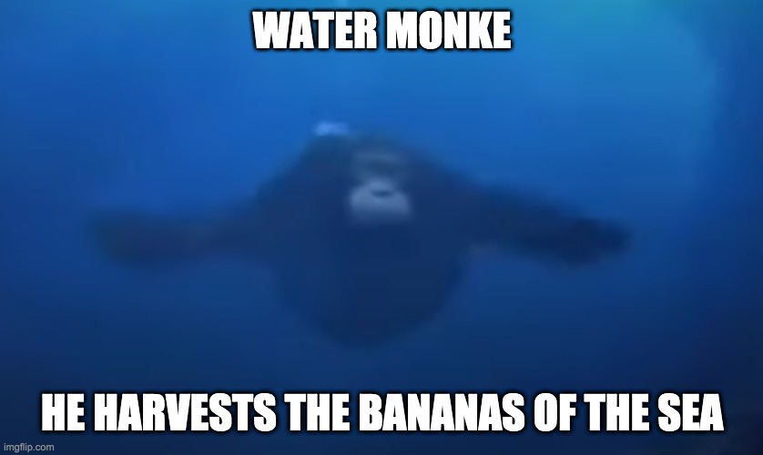 Monkey Swim Swim | WATER MONKE; HE HARVESTS THE BANANAS OF THE SEA | image tagged in monkey swim swim,monkey | made w/ Imgflip meme maker