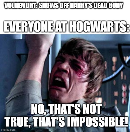 Luke Skywalker Noooo | VOLDEMORT: SHOWS OFF HARRY'S DEAD BODY; EVERYONE AT HOGWARTS:; NO, THAT'S NOT TRUE, THAT'S IMPOSSIBLE! | image tagged in luke skywalker noooo | made w/ Imgflip meme maker