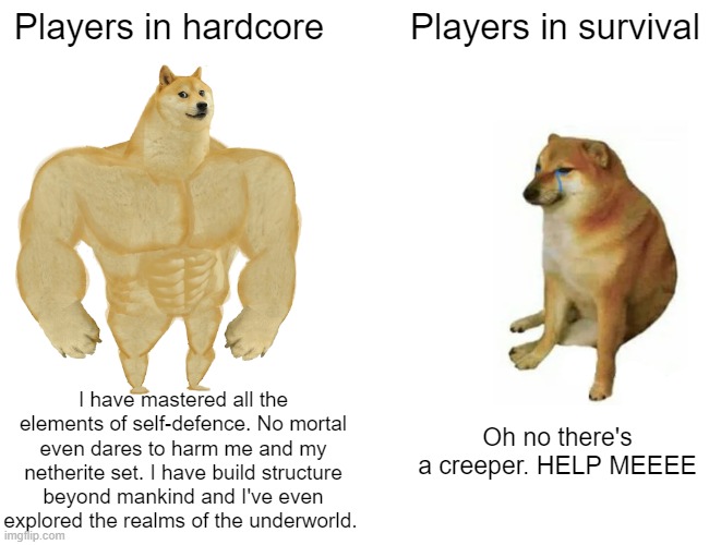 Philza be like | Players in hardcore; Players in survival; I have mastered all the elements of self-defence. No mortal even dares to harm me and my netherite set. I have build structure beyond mankind and I've even explored the realms of the underworld. Oh no there's a creeper. HELP MEEEE | image tagged in memes,buff doge vs cheems | made w/ Imgflip meme maker