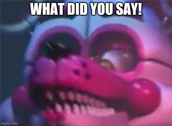 Fnaf | WHAT DID YOU SAY! | image tagged in fnaf | made w/ Imgflip meme maker
