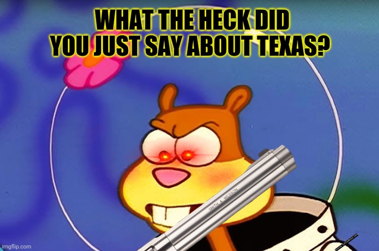 Uh oh! Now she's really mad! | WHAT THE HECK DID YOU JUST SAY ABOUT TEXAS? | image tagged in sandy cheeks,dont,mess with texas,spongebob squarepants,magnum | made w/ Imgflip meme maker