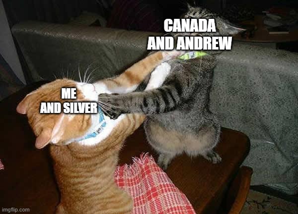 We are da two biggest contenders | CANADA AND ANDREW; ME AND SILVER | image tagged in two cats fighting for real | made w/ Imgflip meme maker