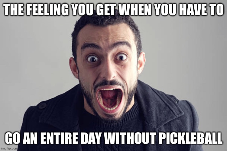 Pickleball addiction | THE FEELING YOU GET WHEN YOU HAVE TO; GO AN ENTIRE DAY WITHOUT PICKLEBALL | image tagged in funny | made w/ Imgflip meme maker
