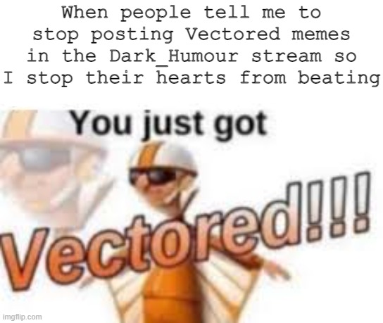 This is the last one lmao | When people tell me to stop posting Vectored memes in the Dark_Humour stream so I stop their hearts from beating | image tagged in you just got vectored,for the last time | made w/ Imgflip meme maker