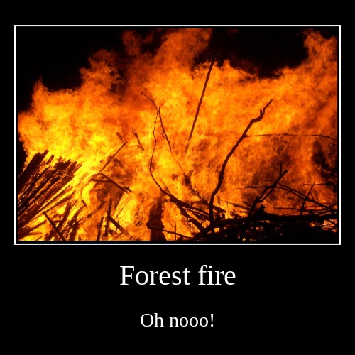 Fire | image tagged in demotivationals,fire | made w/ Imgflip demotivational maker