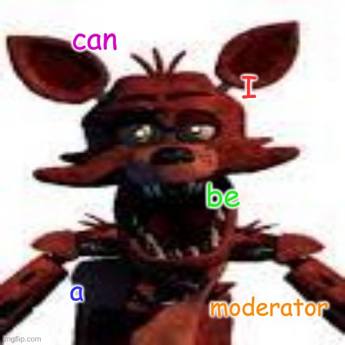 can I | can; I; be; a; moderator | image tagged in foxy | made w/ Imgflip meme maker