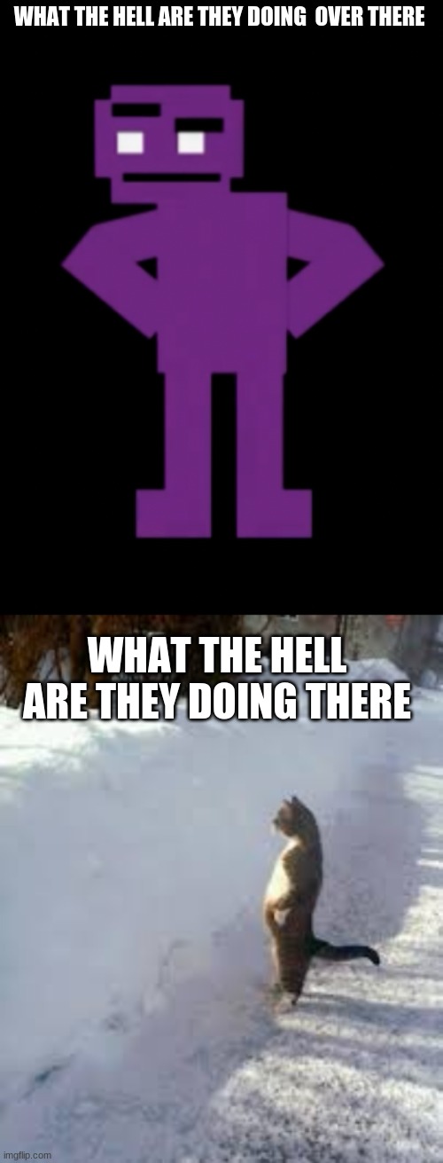 WHAT THE HELL ARE THEY DOING  OVER THERE; WHAT THE HELL ARE THEY DOING THERE | image tagged in confused purple guy,cat looking over snow | made w/ Imgflip meme maker