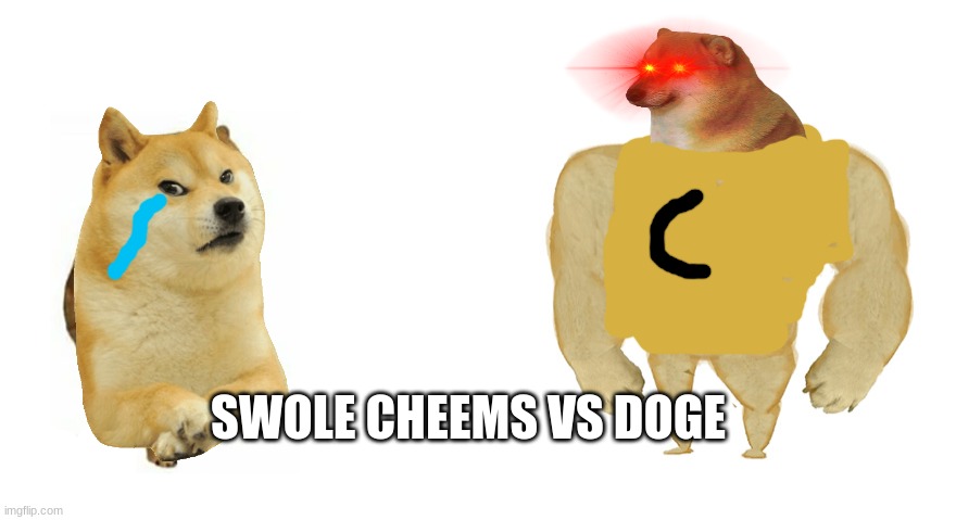 swole cheems vs doge | SWOLE CHEEMS VS DOGE | image tagged in swole cheems vs doge | made w/ Imgflip meme maker