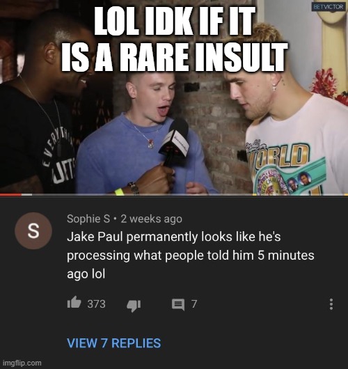 is this rare insult? | LOL IDK IF IT IS A RARE INSULT | image tagged in rareinsult | made w/ Imgflip meme maker