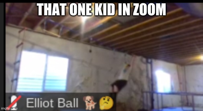 That one kid | THAT ONE KID IN ZOOM | image tagged in zoom | made w/ Imgflip meme maker