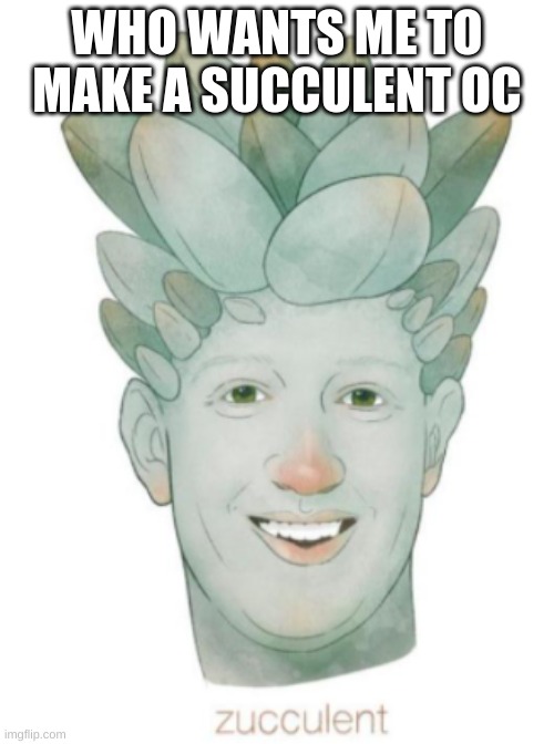 Zucculent | WHO WANTS ME TO MAKE A SUCCULENT OC | image tagged in zucculent | made w/ Imgflip meme maker