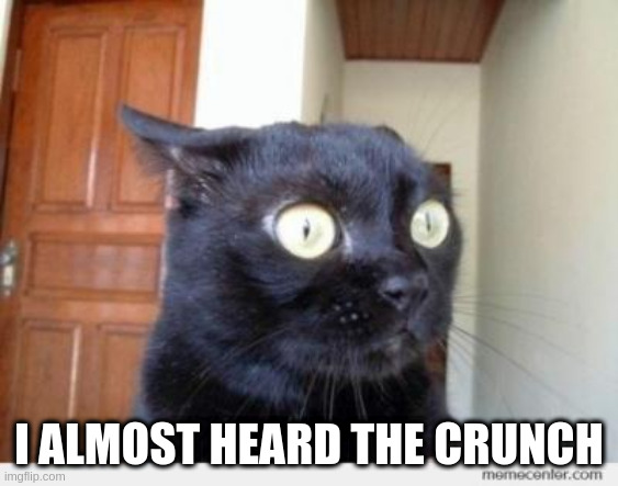Scared Cat | I ALMOST HEARD THE CRUNCH | image tagged in scared cat | made w/ Imgflip meme maker